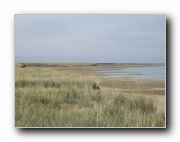 Click to enlarge this image